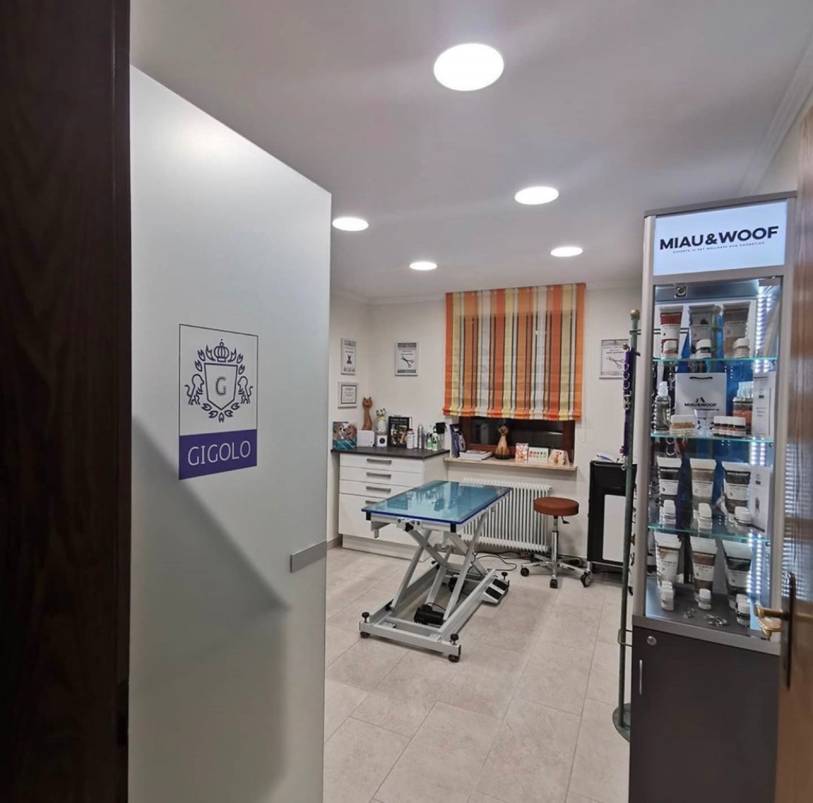 Blick in den Salon Gigolo: heller Pflegeraum mit höhenverstellbarem Trimmtisch und Regal mit Pflegeprodukten.